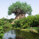 یه درخت عجیب تو آفریقا