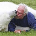 آموزش خرس های قطبی