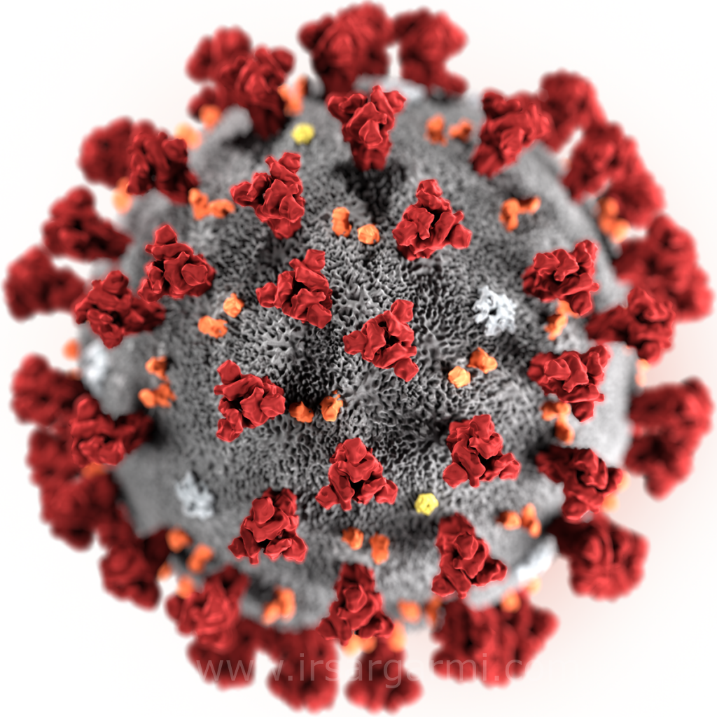 ویروس کرونای جدید COVID-19